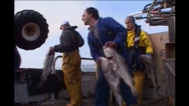 discarding fish