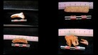 John the Baptist bones
