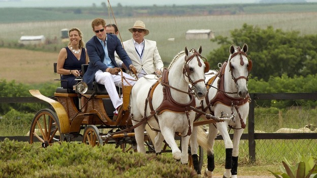 Prince Harry steers a coach and horses into the Polo field at the Haras Larissa Hotel complex