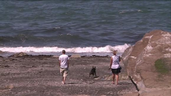dog owners and dog