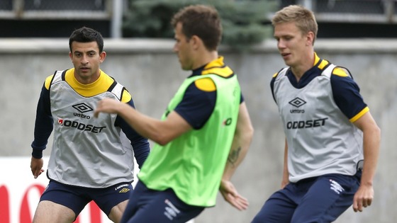 Sweden's players control the ball during training on the Koncha Zaspa Training Centre pitch near Kiev.