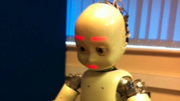 The humanoid robot iCub
