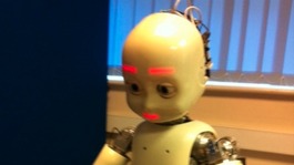 The humanoid robot iCub