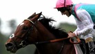 Tom Queally on Frankel