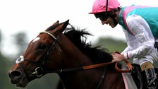 Tom Queally on Frankel