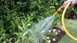 Ban on using hosepipes comes in on April 5th