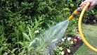 Ban on using hosepipes comes in on April 5th