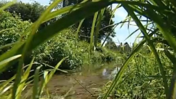River