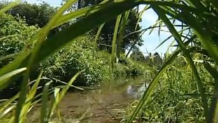 River