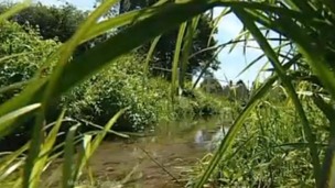 River