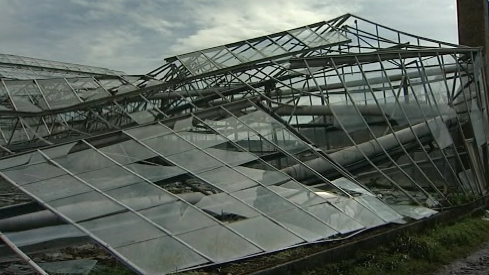 What to do with Guernsey's derelict greenhouses? Channel ITV News