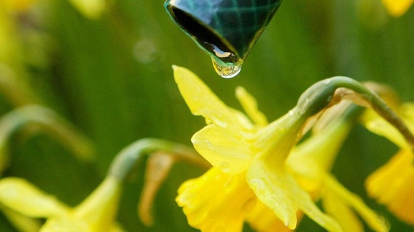 Companies are also expected to support vulnerable customers with advice on how to use water more efficiently