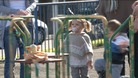 The memorial playground