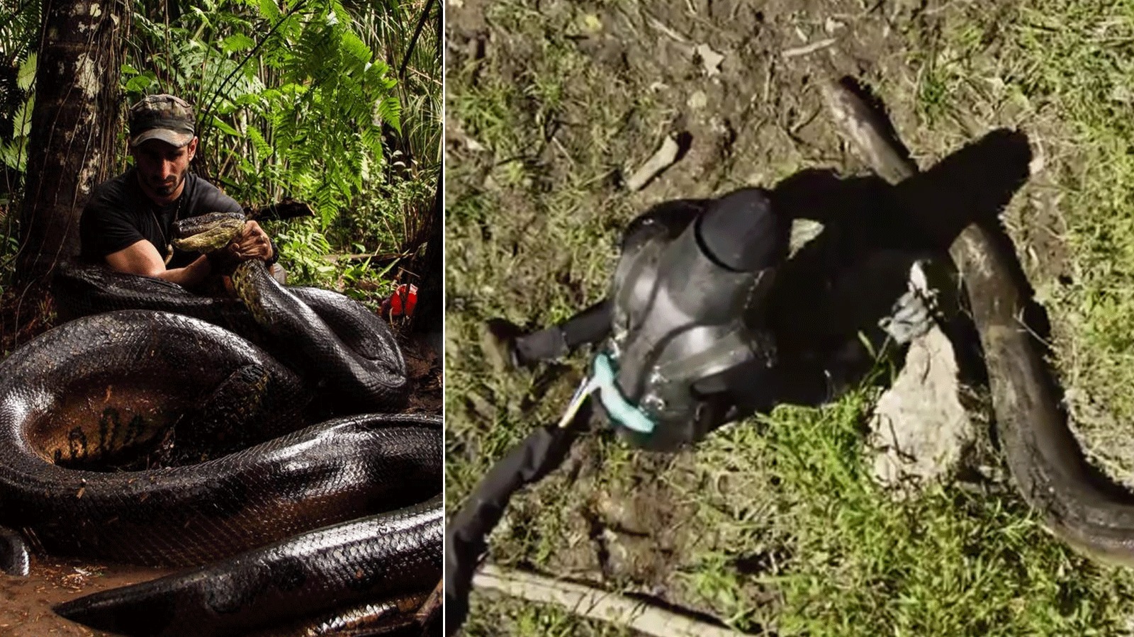 man-in-snake-proof-suit-to-be-eaten-alive-by-anaconda-for-us-tv-show