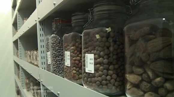 Millennium Seed Bank shelf