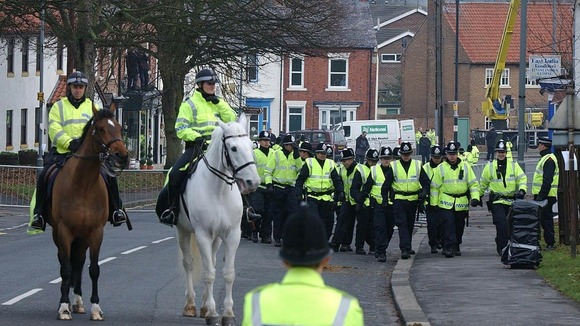 Police horses