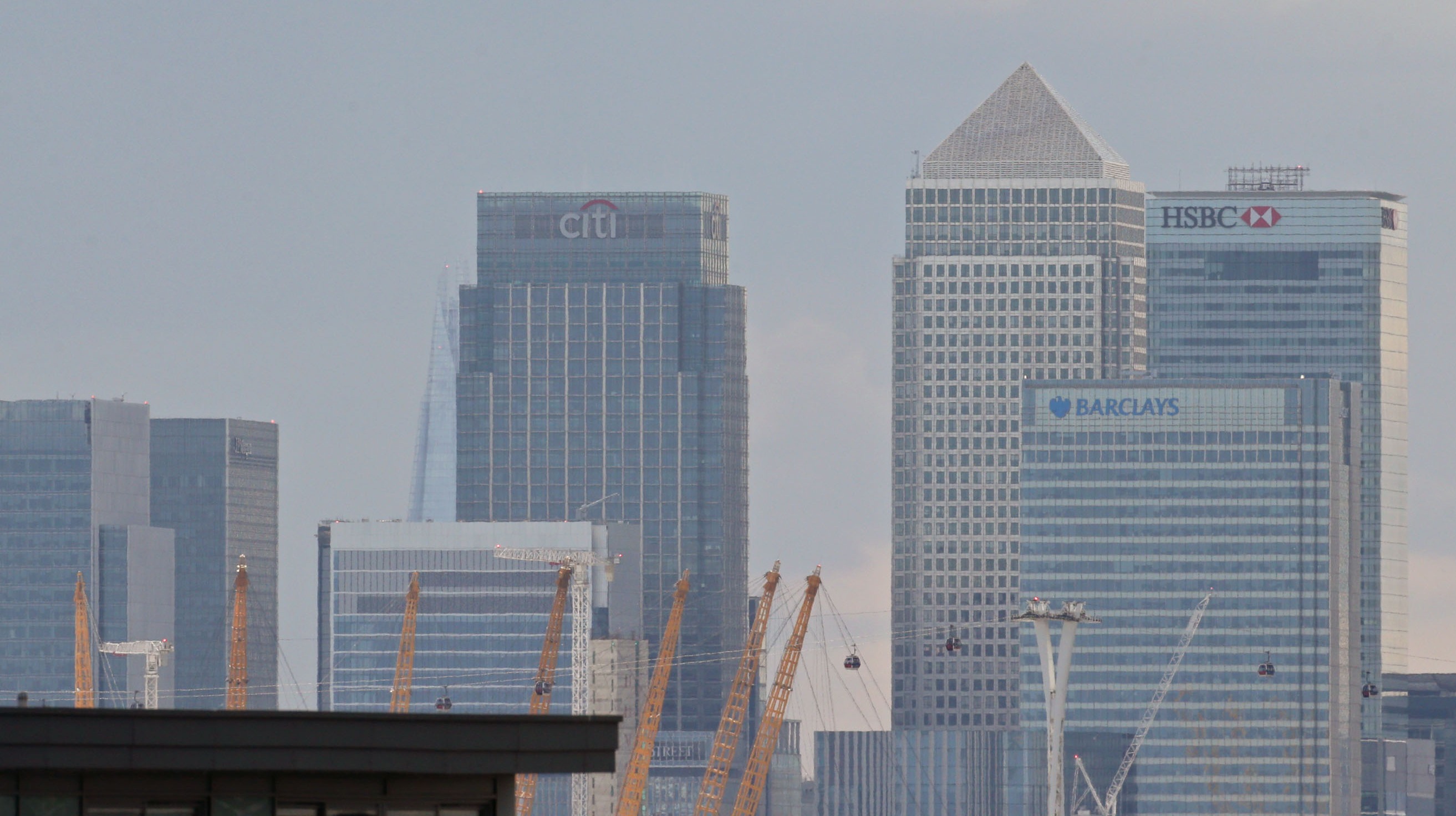 Forex rigging probe