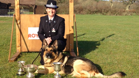police, dog, Kent