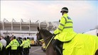Police horses