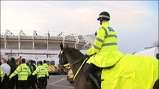 Police horses