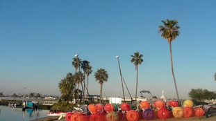 A beach in sunny California