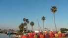 A beach in sunny California