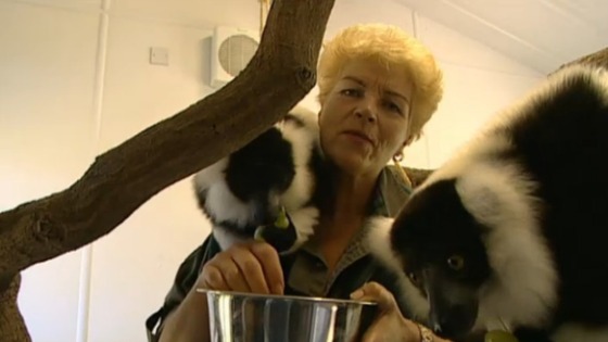 Pam St Clement swaps Pat for pets as she helps homeless animals on This Morning.
