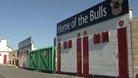Bradford Bulls