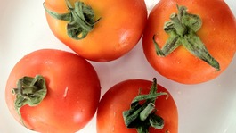 A plate of tomatoes