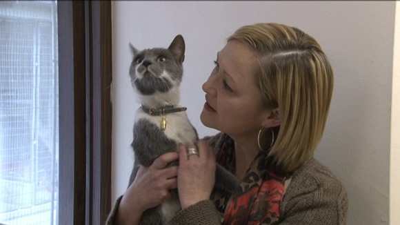 Teddy the Tom cat