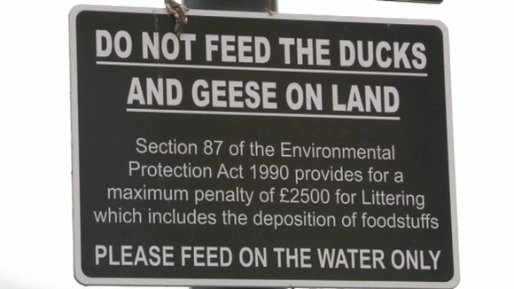 Warning signs in Ely