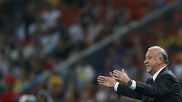 Spain manager Vicente del Bosque.