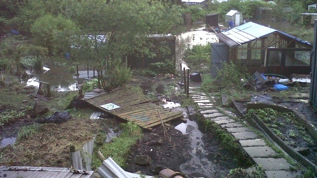 Allotment damage