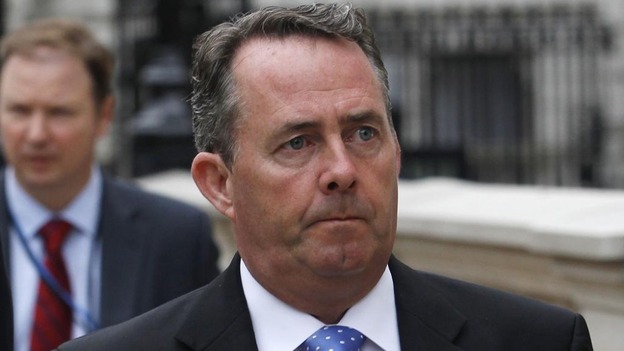 Former defence secretary Dr Liam Fox