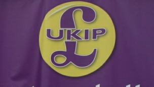 UKIP Banner