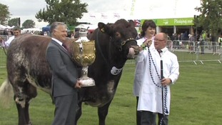 East of England Show