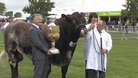 East of England Show