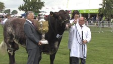 East of England Show