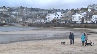 St Ives Town Council Dog Beaches St Ives Town Council Dog Beaches