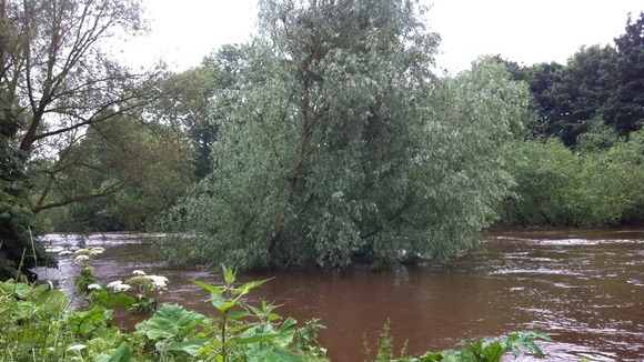 River Tees