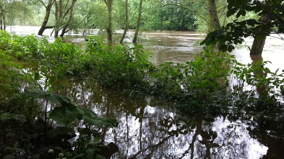 River Tees