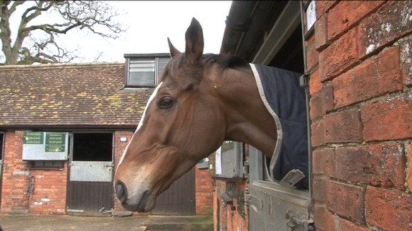 Kauto Star