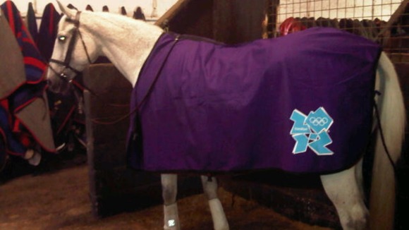 equine rugs