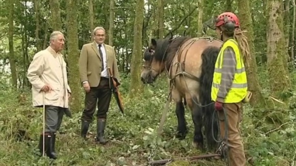 Prince Charles with a horse