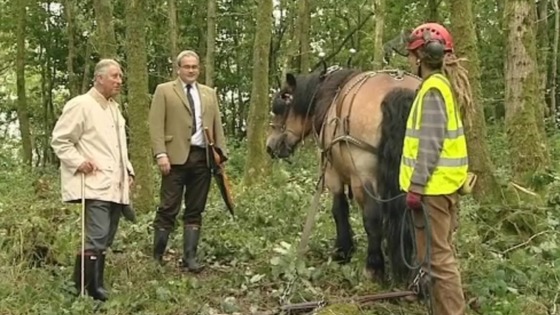 Prince Charles with a horse