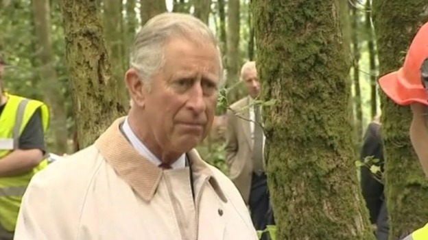 Prince Charles in Llandovery
