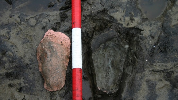 Fossil footprint
