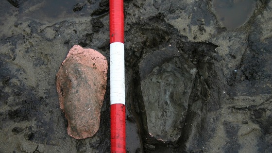 Fossil footprint