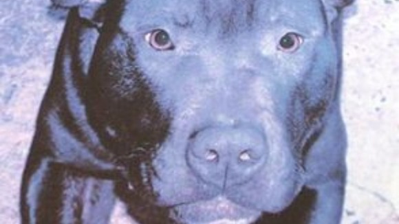 Lennox