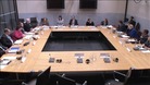 Assembly Health committee